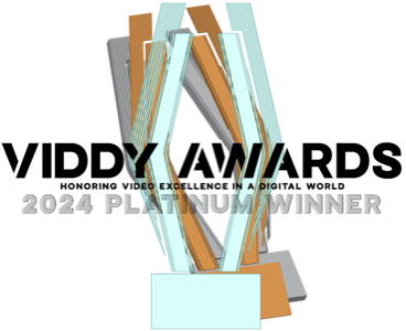 Viddy Awards 2024 Platinum and Gold Winner